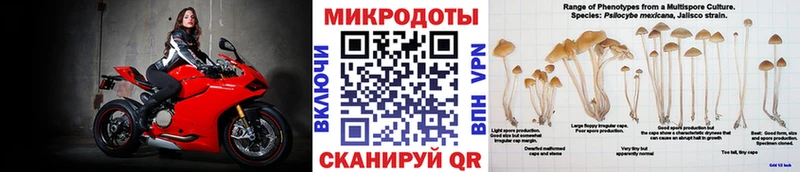 Галлюциногенные грибы Psilocybe  дарк нет телеграм  Старый Крым  закладка 